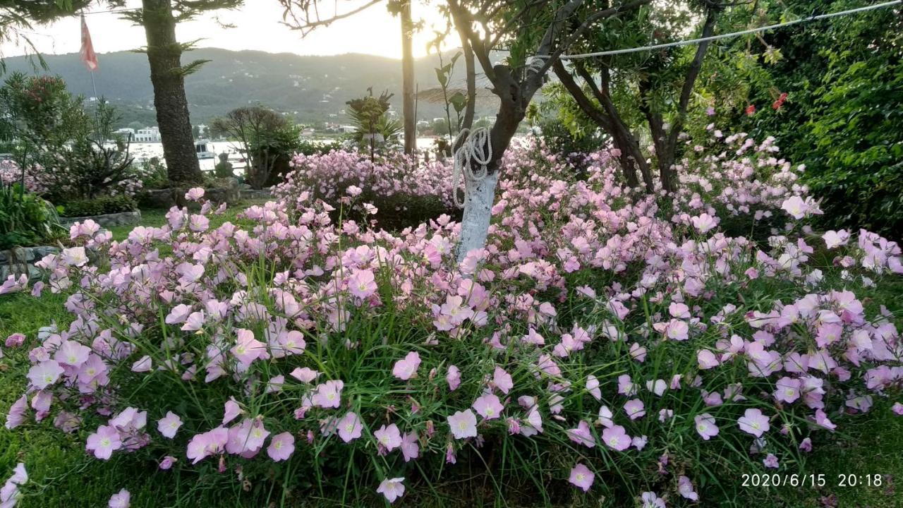 Skiathos Riviera Appartamento