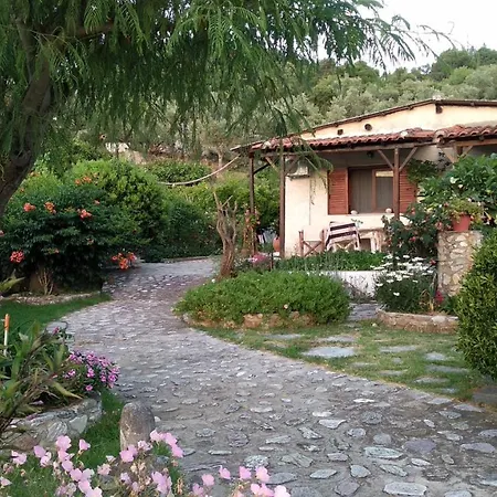 Skiathos Riviera Studios Punta Exterior photo