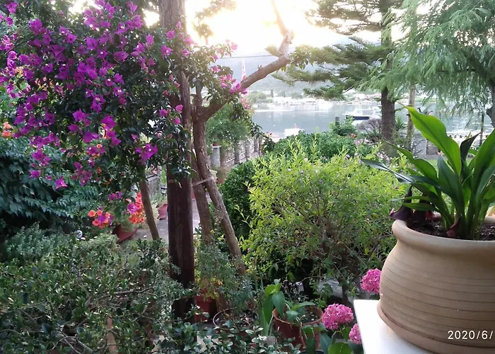 Skiathos Riviera Studios
