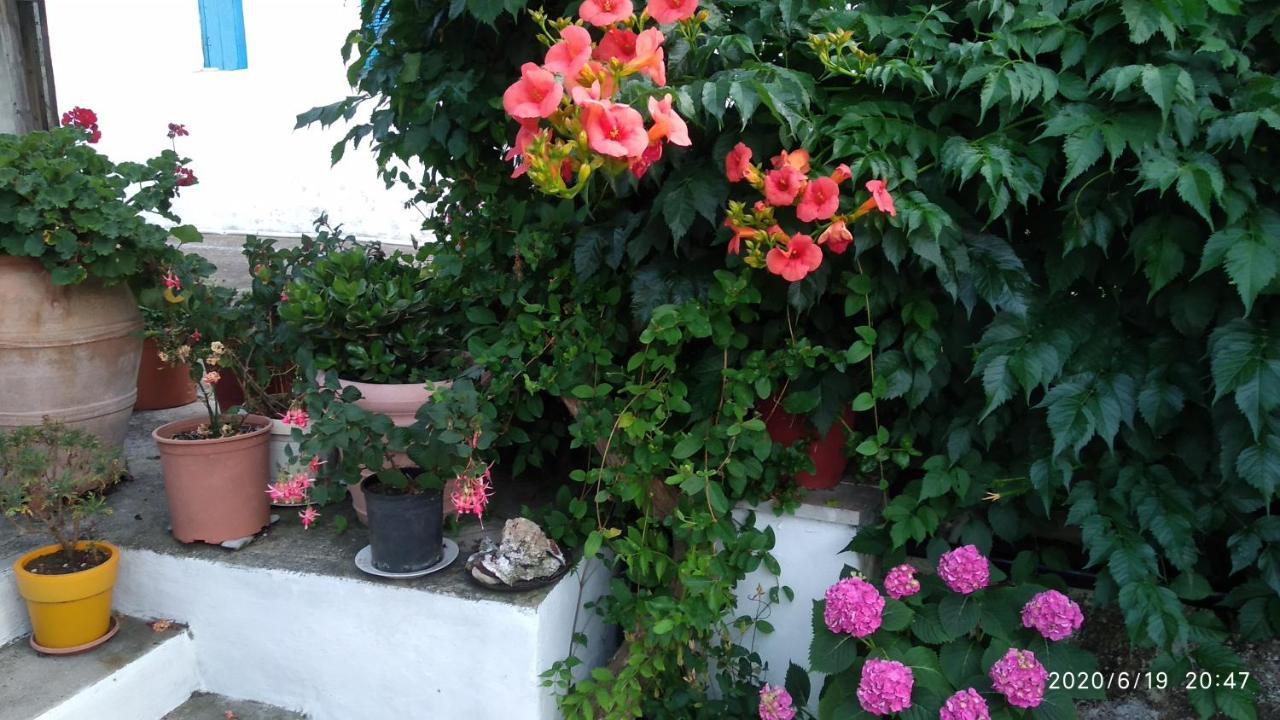 Apartment Skiathos Riviera Punta